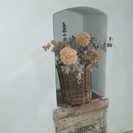 Bienvenue A Bari! Bari