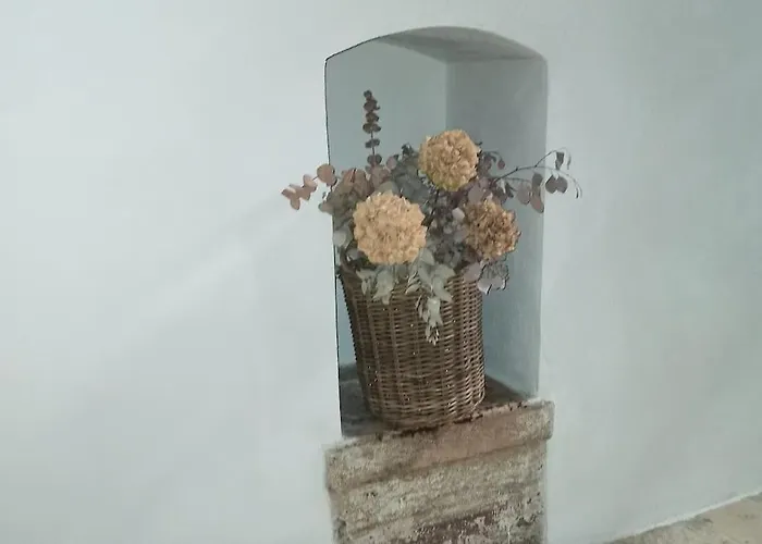 Bienvenue A Bari! בארי